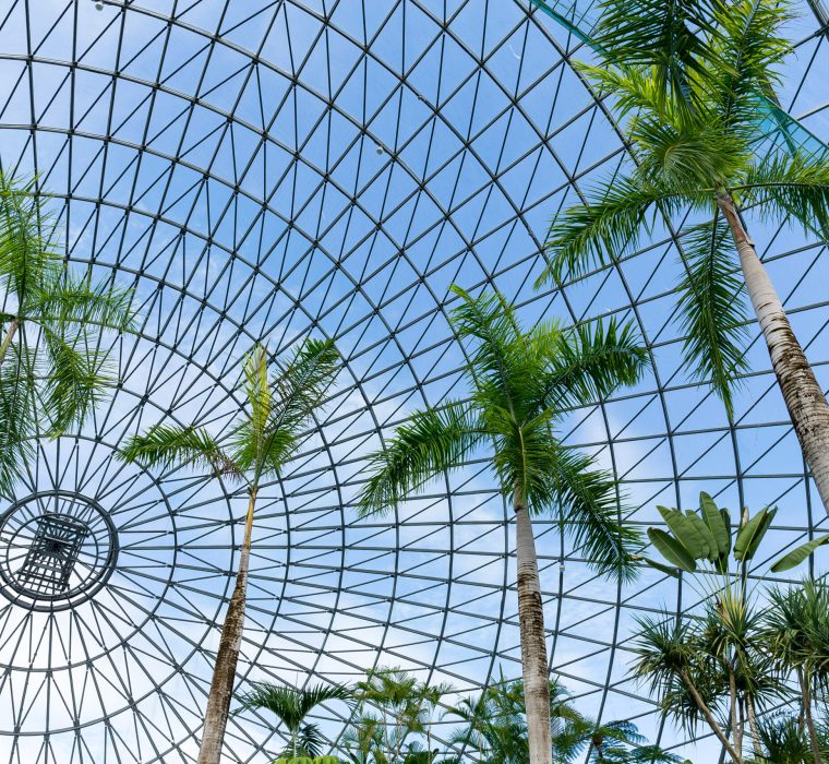 Greenhouse Greenhouse